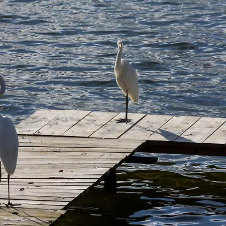 Malgosia Direkt Am *