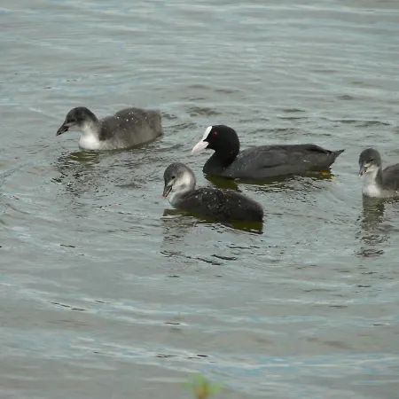 Malgosia Direkt Am Kruklanki
