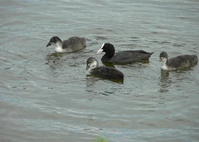 Malgosia Direkt Am Kruklanki