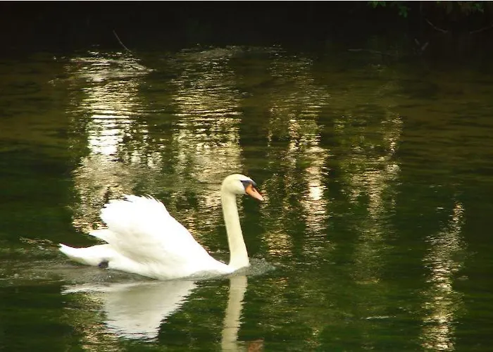 Malgosia Direkt Am Prázdninový dům *